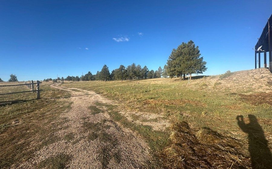 Existing farm access path and perimeter fencing across the pasture